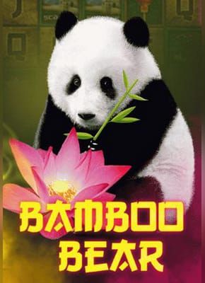 Bamboo Bear